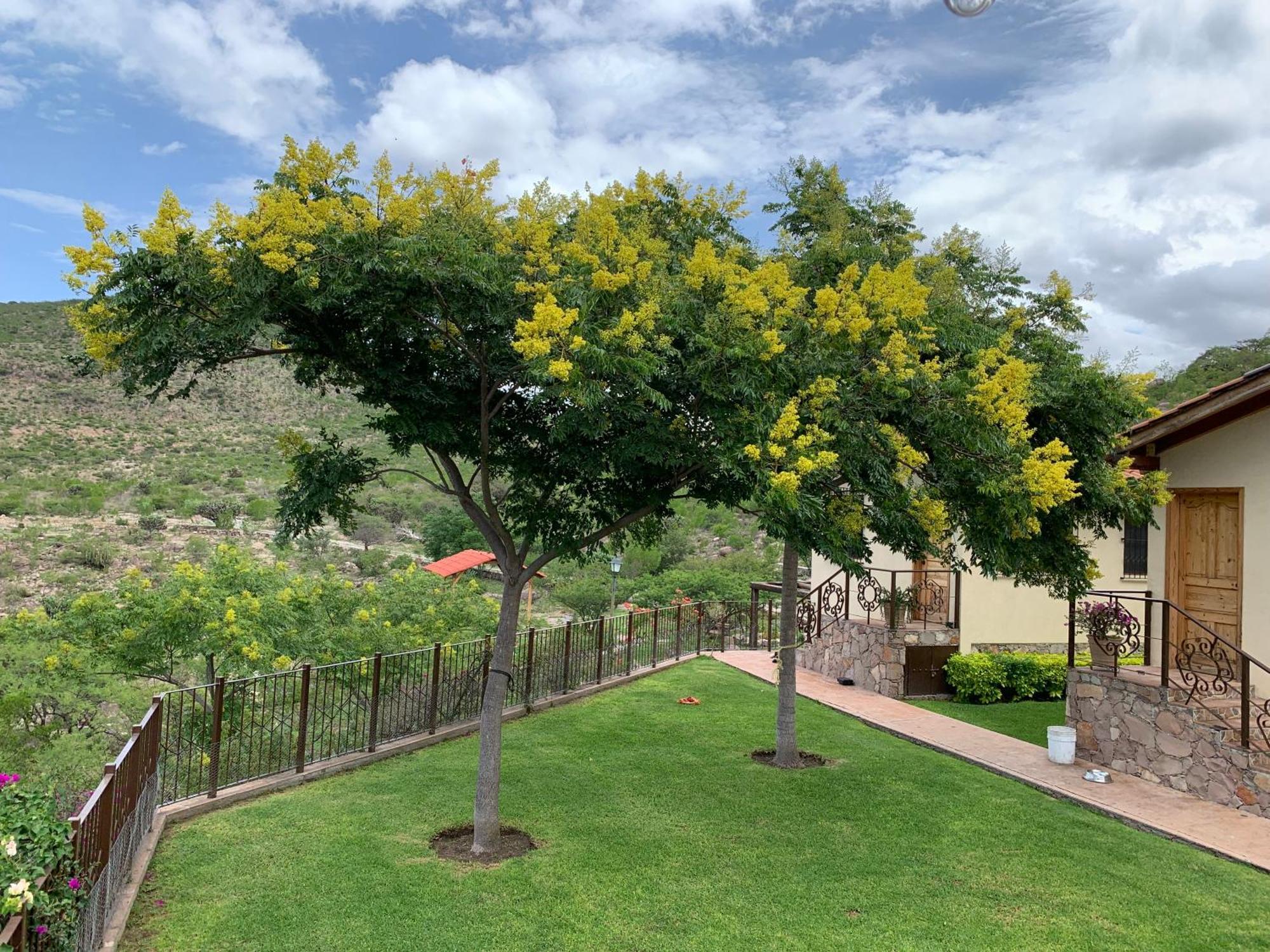 Villa Campestre La Soledad Colon Екстер'єр фото