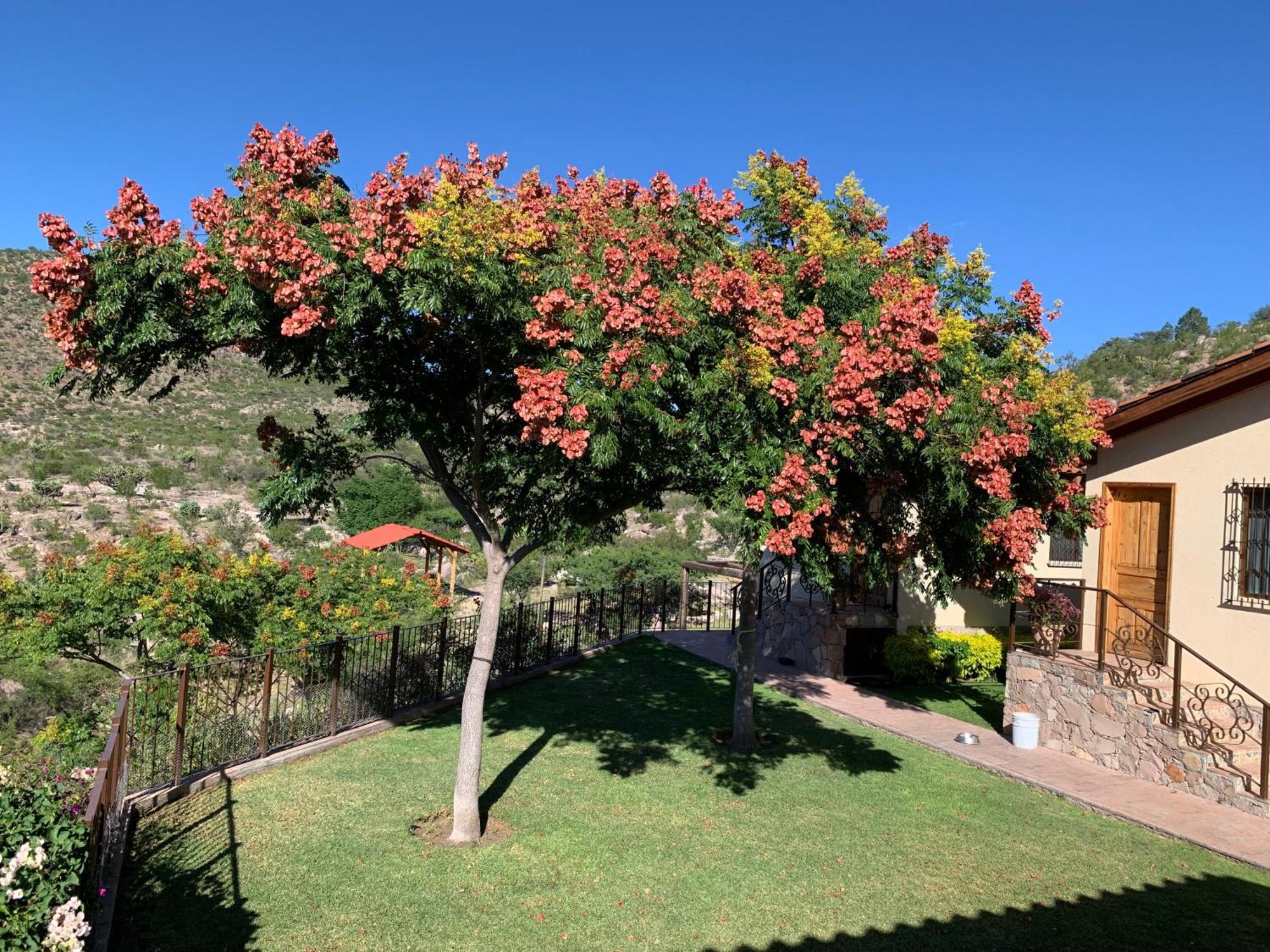 Villa Campestre La Soledad Colon Екстер'єр фото