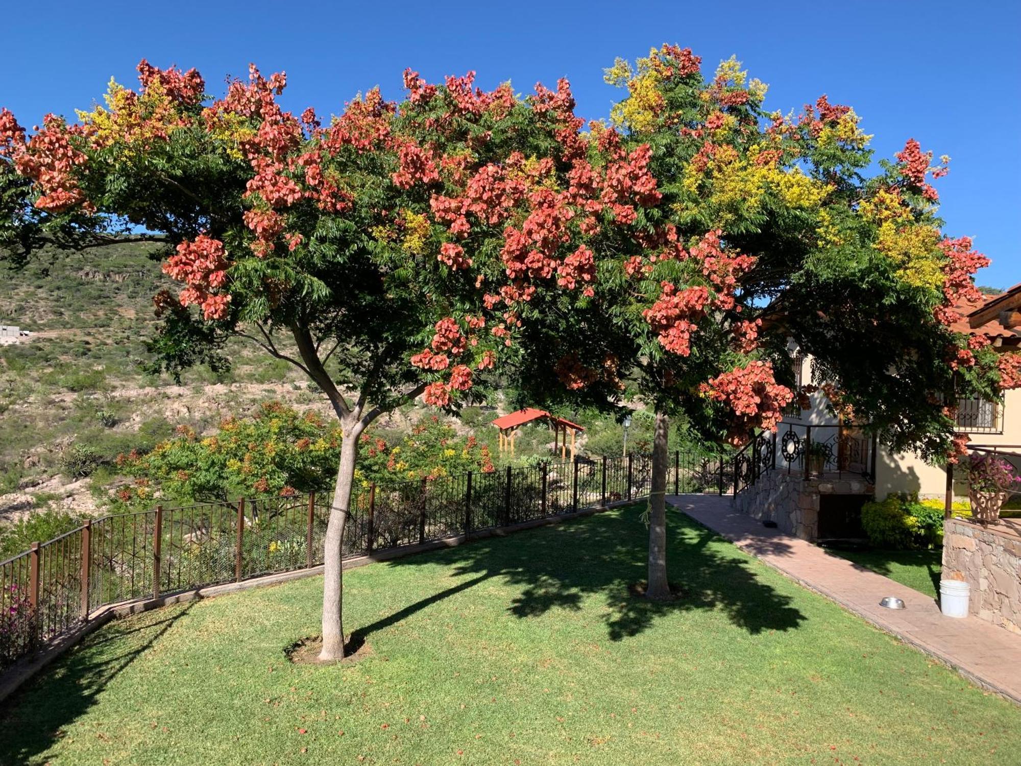 Villa Campestre La Soledad Colon Екстер'єр фото